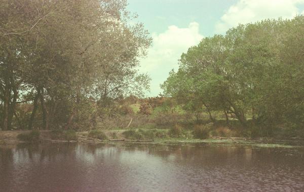 Voyages VIP : Un chauffeur privé pour une expérience unique à Paris